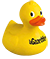 canard